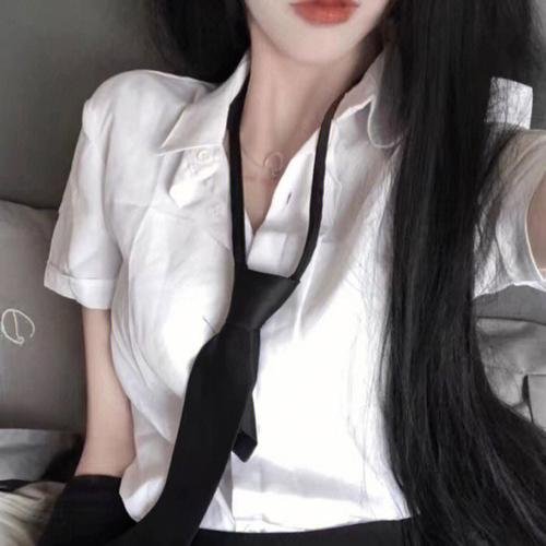 十字剑第二季